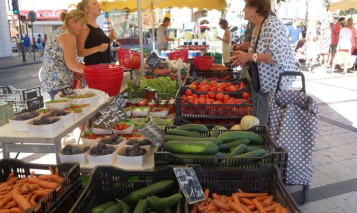 Dans Un écrin De Verdure